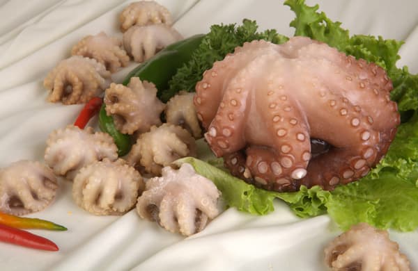 Frozen mollusks _  frozen baby octopus